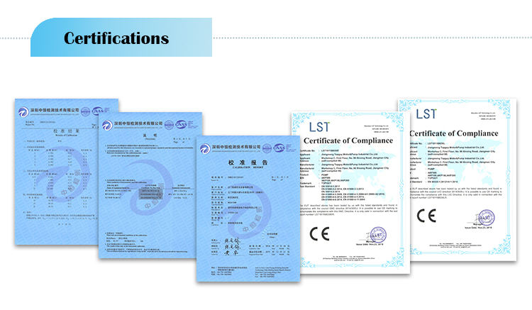 Auto Mini Dosing Pump For Swimming Pool Spa Pool Water Treatment