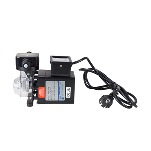Pool Automatic Chemical Dosing Pump Automatic Chlorine Feeder