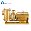 High Performance Swimming Pool Pump Filter Motor Circulating Pump