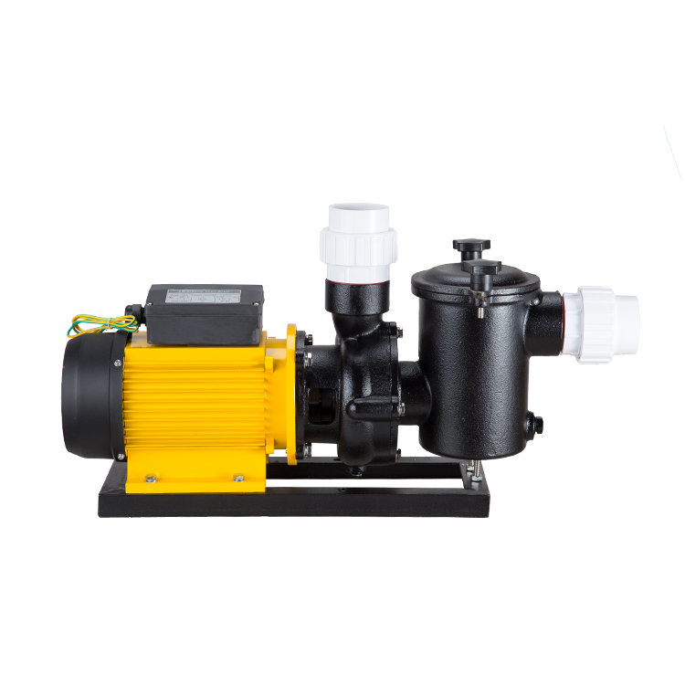 portable water pump