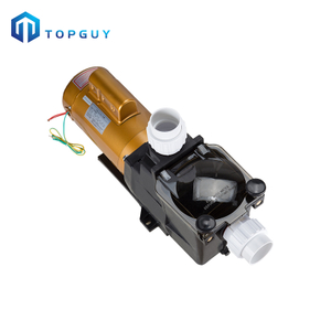Factory Price High Quality Electrical Hayward Water Pump Swimming Pool Filter Pump