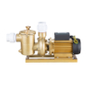 Brass Pool Pump Pool Fitting Pump
