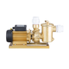 Brass Pool Pump Pool Fitting Pump