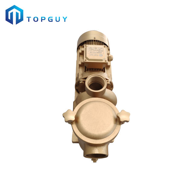 water pump for a pool