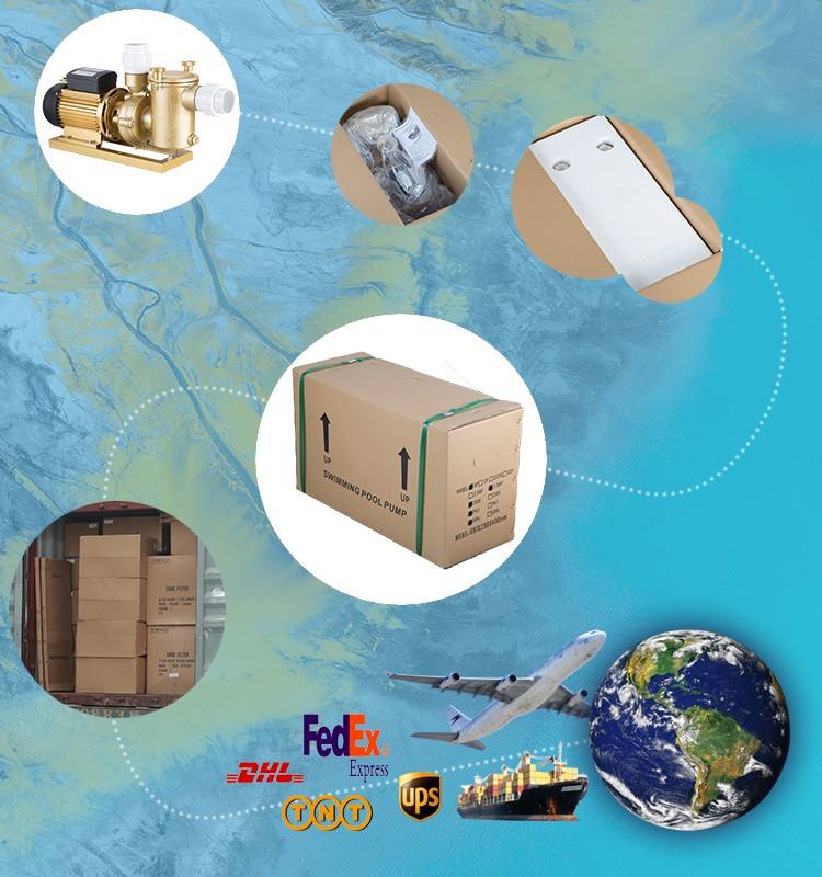 pool pump salt water