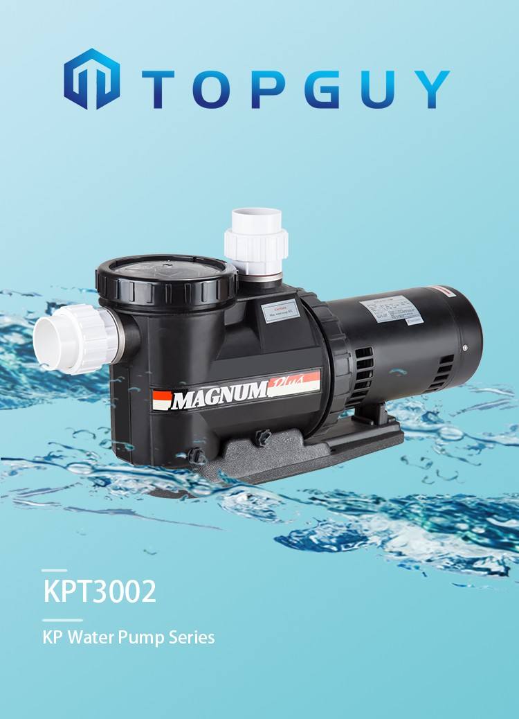 salt water pumps for pools