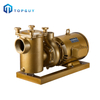 High Performance Swimming Pool Pump Filter Motor Circulating Pump