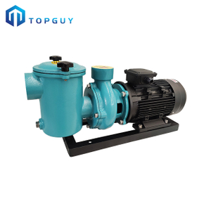 Wholesale 3.0HP Water Pump High Flow Pressure Iron Pool Pump with 1 Years Warranty Eco Friendly Pump for Hotel Swimming