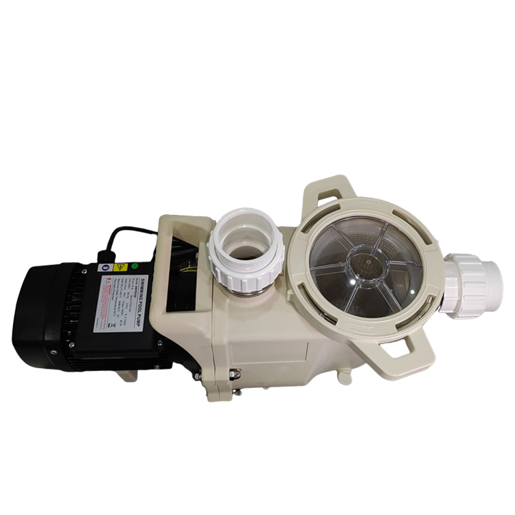 pool variable speed pump