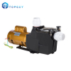 Factory Price High Quality Electrical Hayward Water Pump Swimming Pool Filter Pump