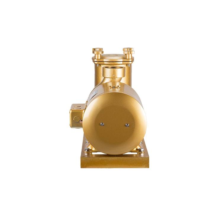 electric water pumps