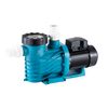 1.0HP/1.5HP Outdoor Water Pump Running Water Pump for Pool Booster Pump for Garden Well Pond Pool