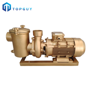3HP Copper Water Pump Anti-corrosion Water Pump With High Capacity Strainer Energy Efficient Brass Pump