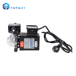 Auto Mini Dosing Pump For Swimming Pool Spa Pool Water Treatment