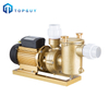 Surface Swimming Pool Electric Water Purifier Filter Pump