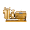 China Hot Selling Pool Pump Manufacturers Supply