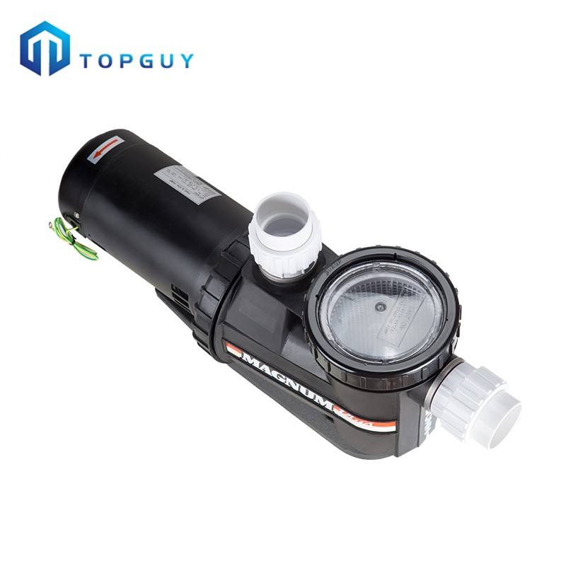 salt water pool pumps