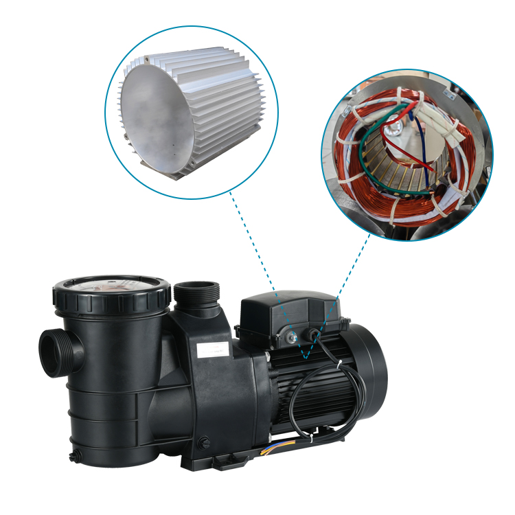 variable speed pool pump