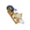 Brass Pool Pump Pool Fitting Pump