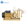 Surface Swimming Pool Electric Water Purifier Filter Pump