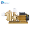 Convenient High Temperature Swimming Pool Pump