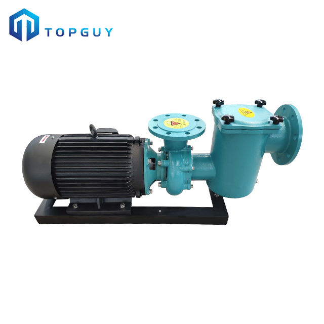 above ground pool with pump