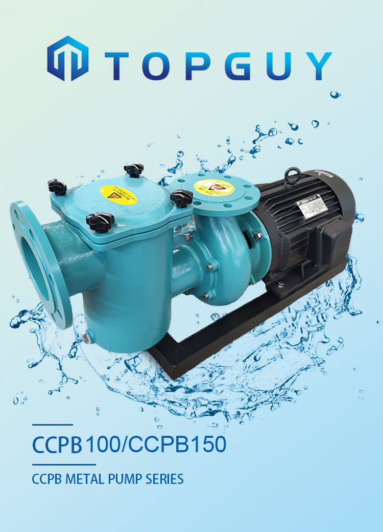 pool pump for above ground pool