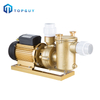 3HP Horsepower High Performance Copper Pool Pump Electric Filtration Circulating Pool Pump
