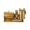 China Hot Selling Pool Pump Manufacturers Supply