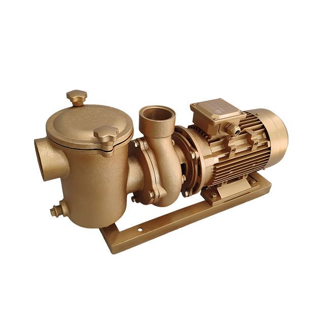 water pump for pool