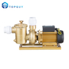 Surface Swimming Pool Electric Water Purifier Filter Pump