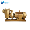 Copper Swimming Pool Pump Registered Trademark Swimming Pool Pump Engineering Standard Pump