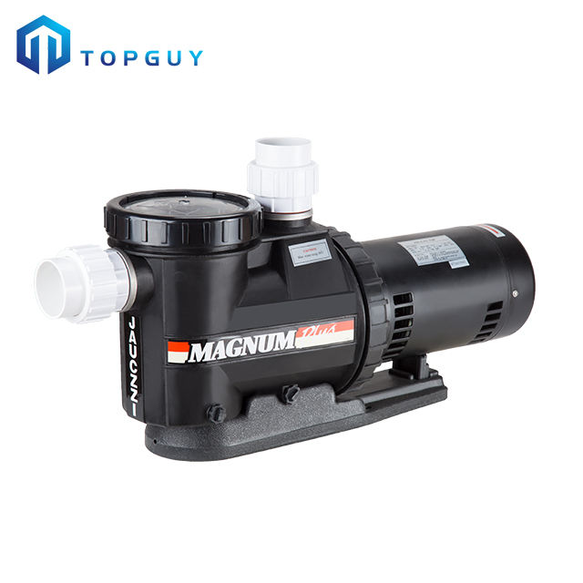 pool heat pump above ground