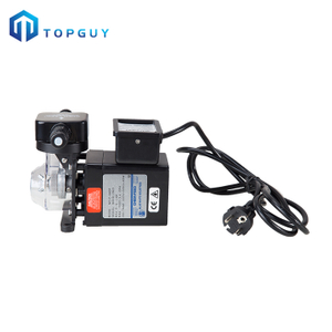 Swimming Pool Chemical Auto Chlorine Feeder Dosing Pump