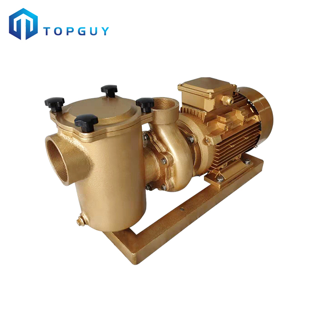 variable speed pool pump