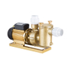 Brass Pool Pump Pool Fitting Pump