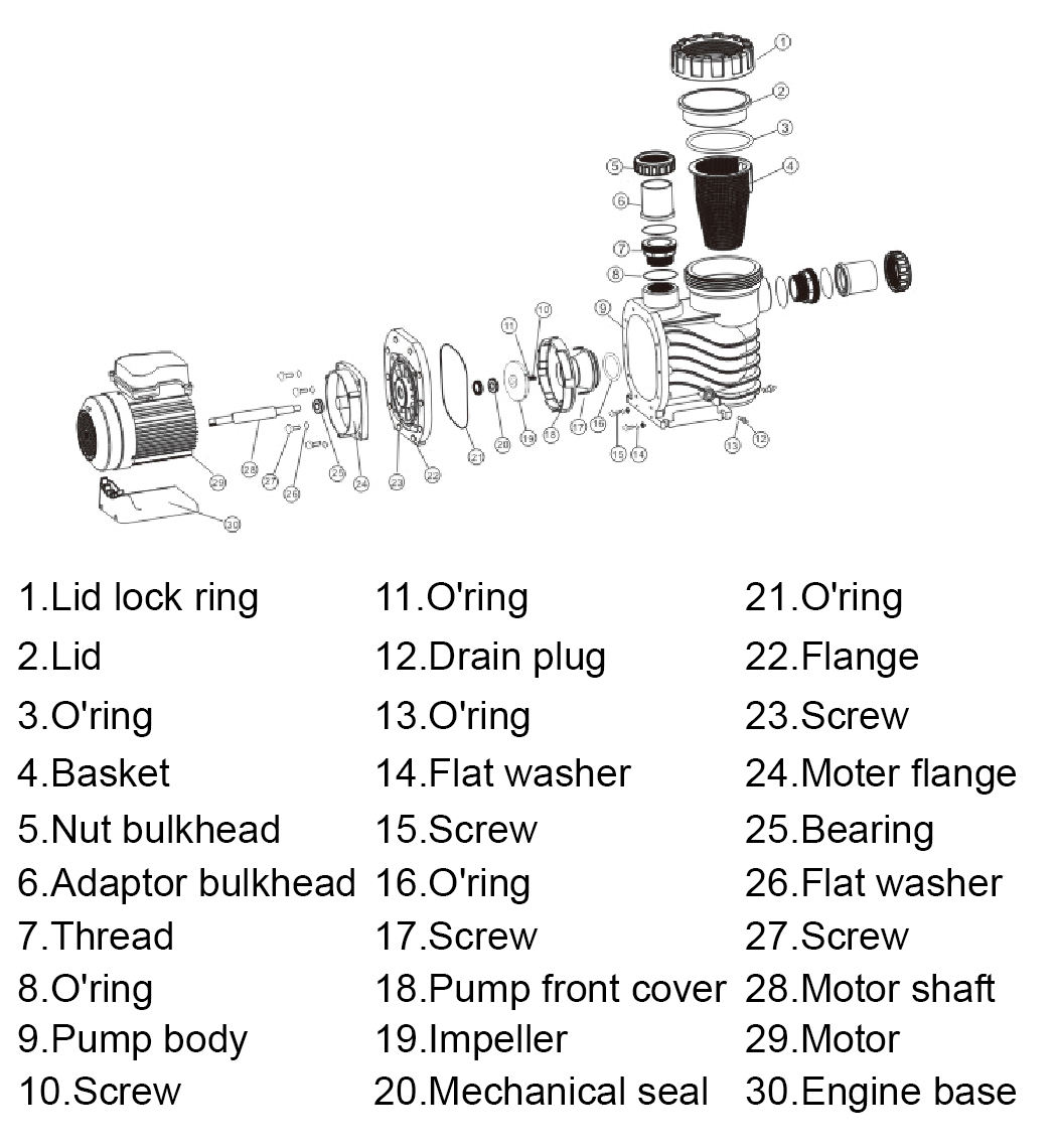 water pump for a pool