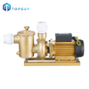 Convenient High Temperature Swimming Pool Pump