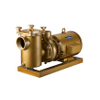 China Hot Selling Pool Pump Manufacturers Supply